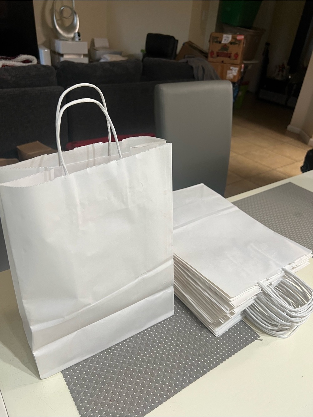 Plain White Paper Gift Bags with Twisted Handles - Pack of White Bags 24 bags